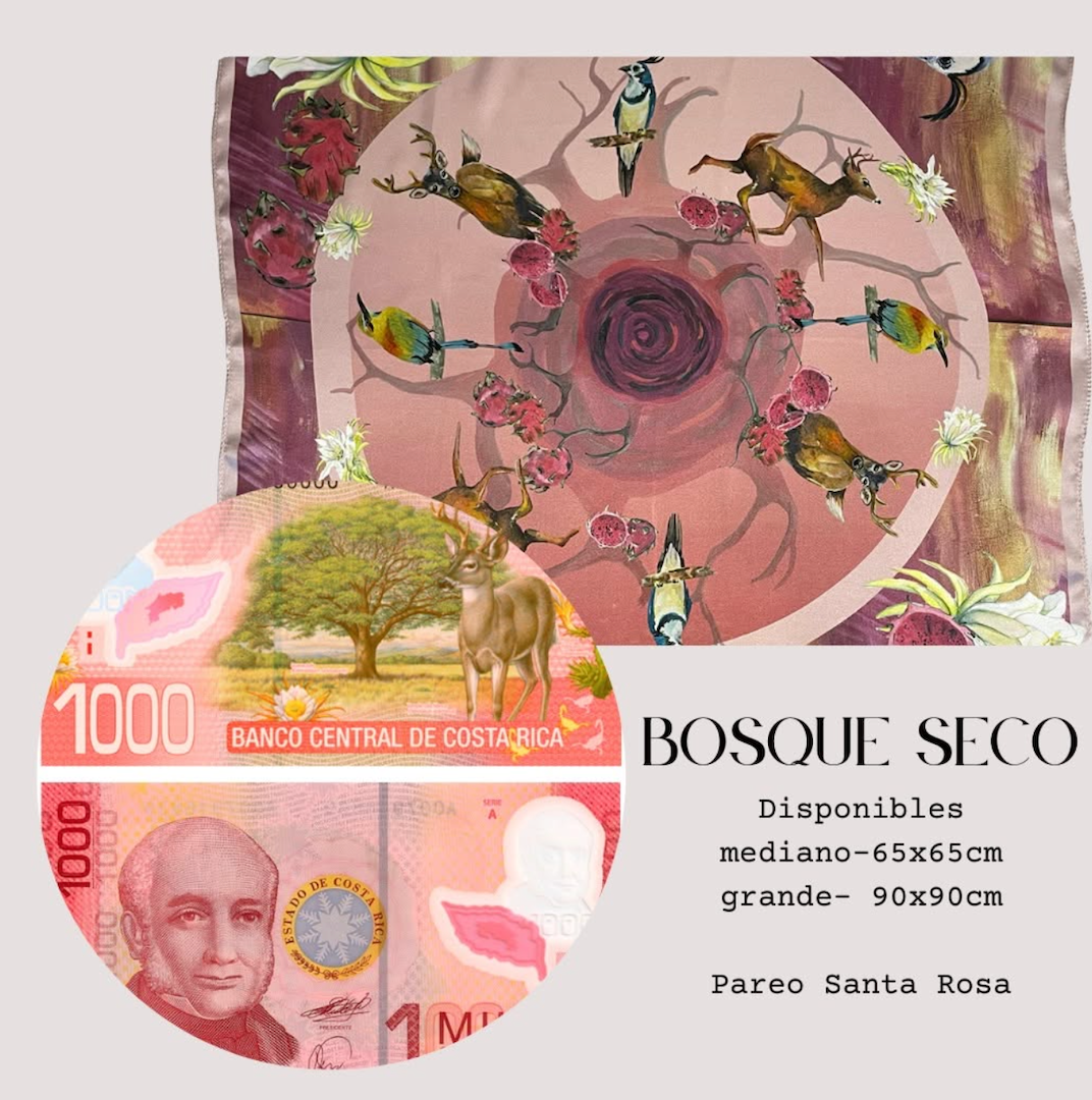 Pañuelo Billete Bosque Seco | Signature