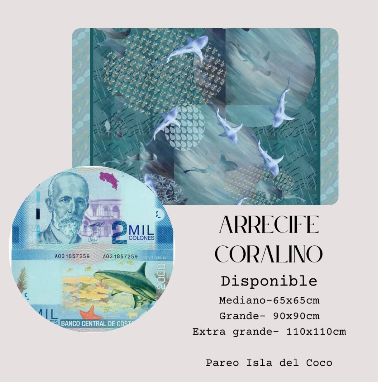 Pañuelo Arrecife Isla del Coco | Collector