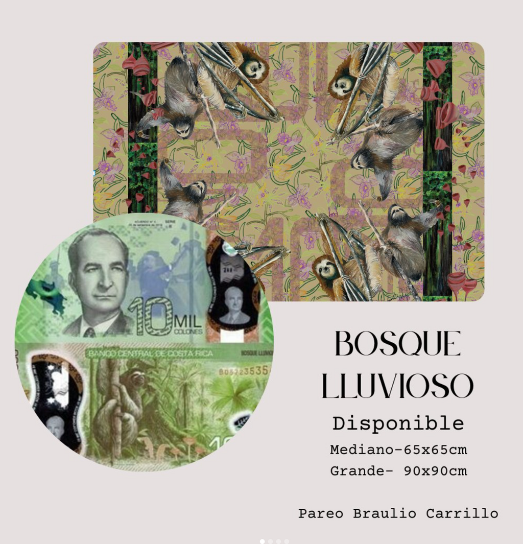 Pañuelo Billete Bosque Lluvioso Orquideas | Signature