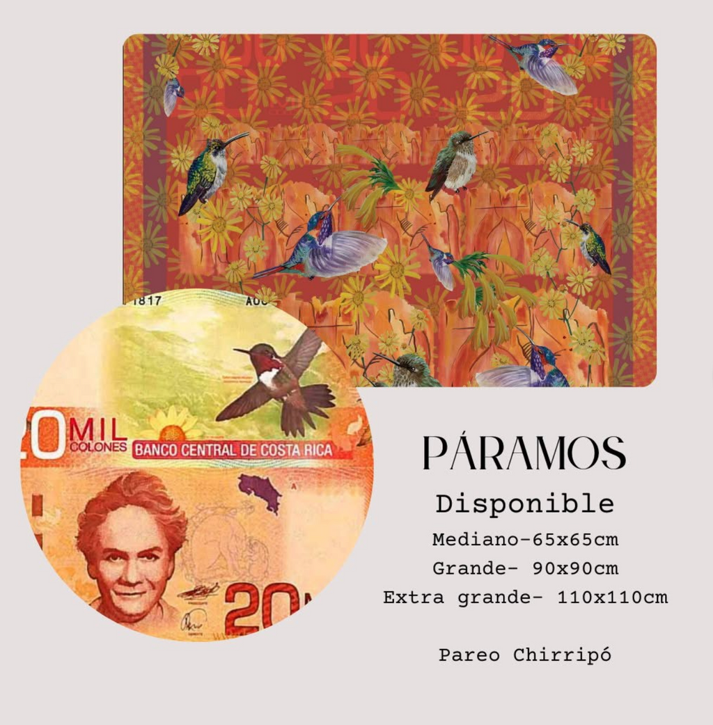 Pañuelo Billete Páramo Dorados | Signature