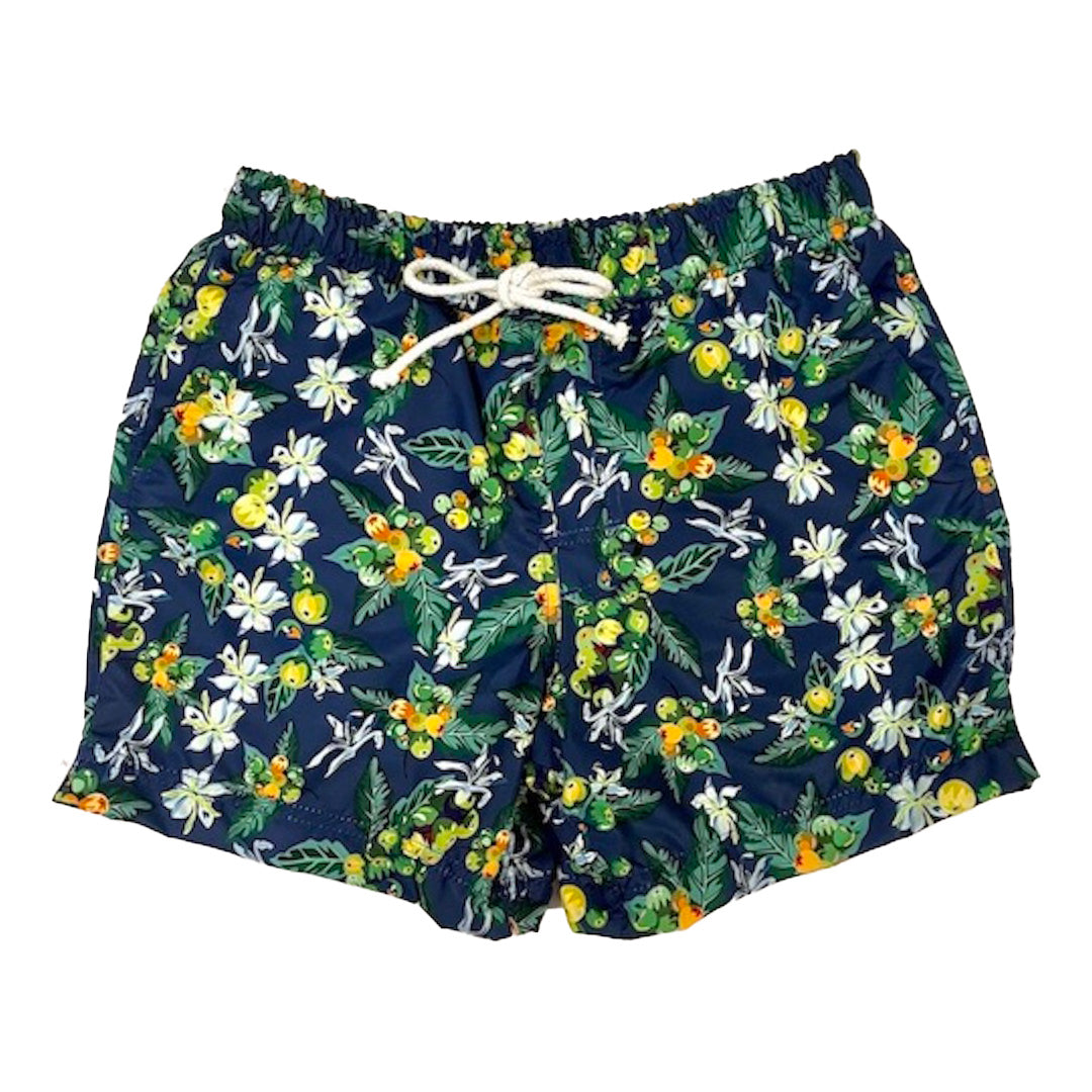 Men's Swim Trunks, Beach Shorts with Mesh Lining Swimwear Bathing Suits, Quick Dry, Costa Rica's Coffee Fields Designs